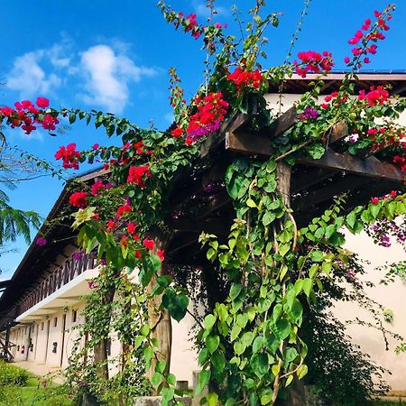 Hotel Fazenda Triunfo Areia Exteriér fotografie