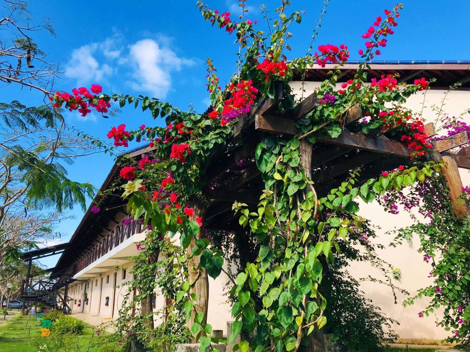 Hotel Fazenda Triunfo Areia Exteriér fotografie