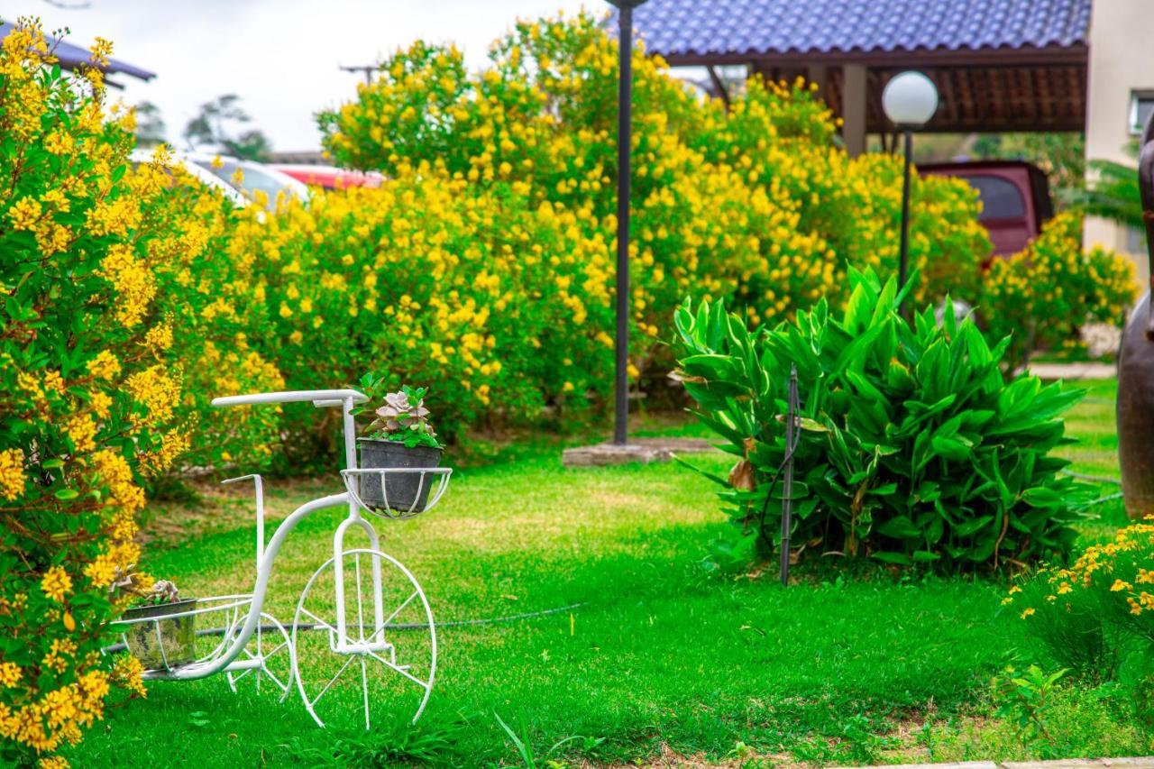 Hotel Fazenda Triunfo Areia Exteriér fotografie